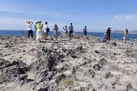 Ninh Thuan preserves biodiversity with ecotourism