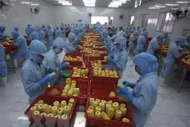 Better processing, market expansion needed for fruit, vegetable sector