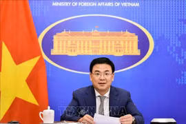 Vietnam determined to boost partnership with South Africa: official