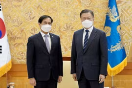 RoK considers Vietnam key partner in New Southern Policy: President