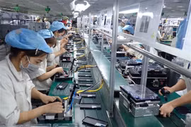 Structure of Vietnam's exports to Singapore stable