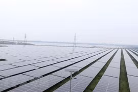 ADB optimistic about green recovery prospect in Southeast Asia
