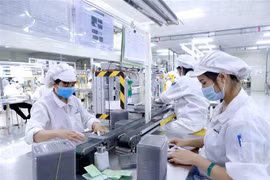 Programme to support private firms in sustainable business development