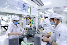 Programme to support private firms in sustainable business development
