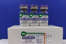 Vietnam successfully produces vaccine against African swine fever