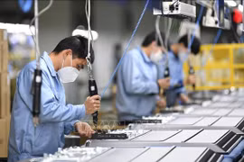 Vietnam gains significant outcomes in developing market economy: Study