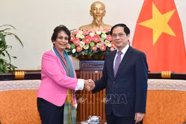 UN official impressed by Vietnam’s climate commitments