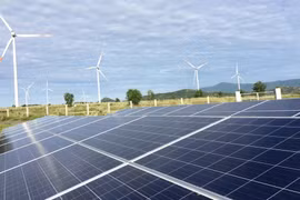 Vietnam Clean Energy Forum looks towards carbon neutrality