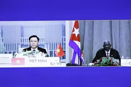 Top legislators of Vietnam and Cuba hold online talks