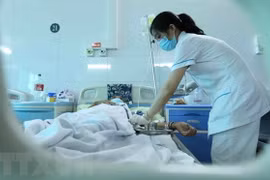 Dengue fever develops complicatedly in Hanoi