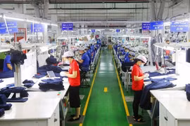 Numbers of firms, employees in FDI, non-state sectors soar: census