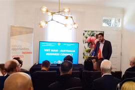 Vietnam ready to assist Australian businesses: diplomat