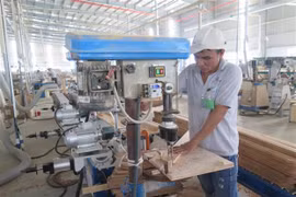 Wooden cabinet exporters advised to review activities related to US’s investigation