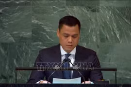 Vietnam calls for UN Security Council reform 