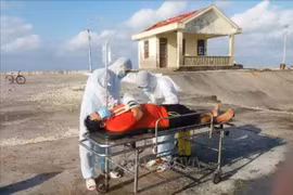 Injured fishermen rescued in Truong Sa