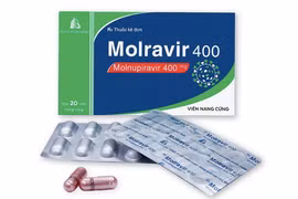 Ministry of Health publicises prices of Molnupiravir drugs produced in Vietnam