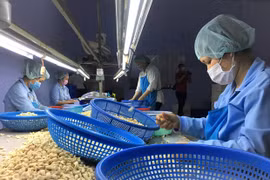 SWIFT ban on Russia poses certain but temporary difficulties for payments in agricultural trade