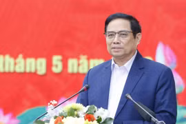 Gia Lai province urged to establish itself as driver of Central Highlands