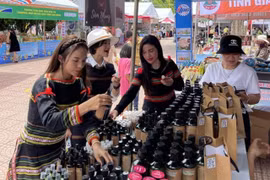 Conference to boost trade connections in Central - Central Highlands region