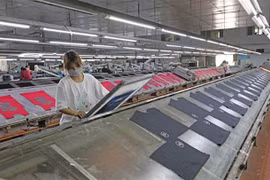 European firms’ confidence in Vietnam’s business environment slightly declines but still strong: EuroCham