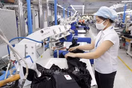 Forum explores trade, investment chances between Vietnam, Sierra Leone
