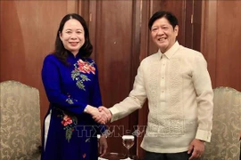 Vietnamese Vice President meets with foreign leaders in Philippines