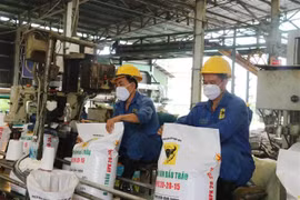 Russia-Ukraine conflict forces Vietnam to look for alternative fertiliser suppliers