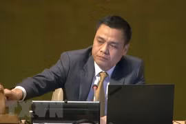 Vietnam highlights important role of International Court of Justice