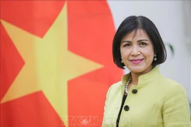 Vietnam hopes for further support from ILO: ambassador