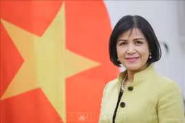 Vietnam hopes for further support from ILO: ambassador