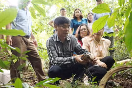 Tens of wild animals released back to nature