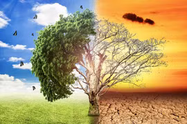 Vietnam calls for comprehensive approach in addressing climate change challenges