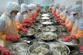 Business matching webinar on seafood products with EU held