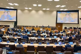 Vietnam reaffirms importance of freedom of navigation, overflight in East Sea