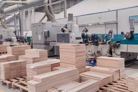 Rising costs cast doubt on wood companies growth prospects