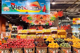 Embassy works to boost economic diplomacy between Vietnam, Thailand