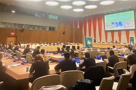 Vietnam calls for strengthened efforts to address conflict-induced hunger