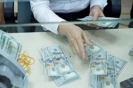 Reference exchange rate up 8 VND