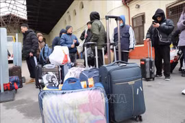 Vietnamese embassy in Germany works hard to support Vietnamese evacuee from Ukraine
