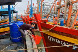 Quang Binh fishermen raise awareness of marine protection