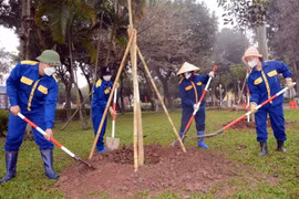 Nam Dinh steps up tree planting in protection, special-use forests