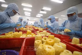 Vietnamese export, import affected by Russia-Ukraine conflict: experts