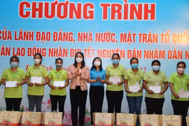 Senior officials pay pre-Tet visits to Tra Vinh, HCM City