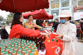 Vietnam Red Cross Society’s campaign supports millions of needy people