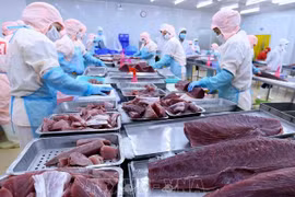 Tuna export maintains high growth in Q1 
