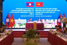Vietnamese, Lao NAs hold 11th exchange