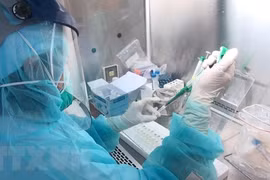 Vietnam logs 169,114 COVID-19 infections on March 11
