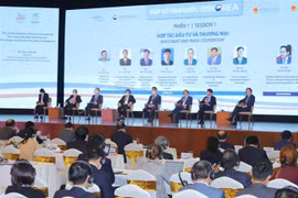Vietnam, RoK seek to boost strategic partnership 