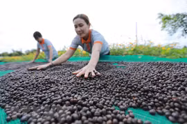 Vietnam’s economic growth accelerates on back of exports, manufacturing: Bloomberg