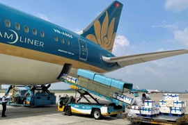 Vietnam's air freight industry accelerates despite COVID-19: Nikkei Daily